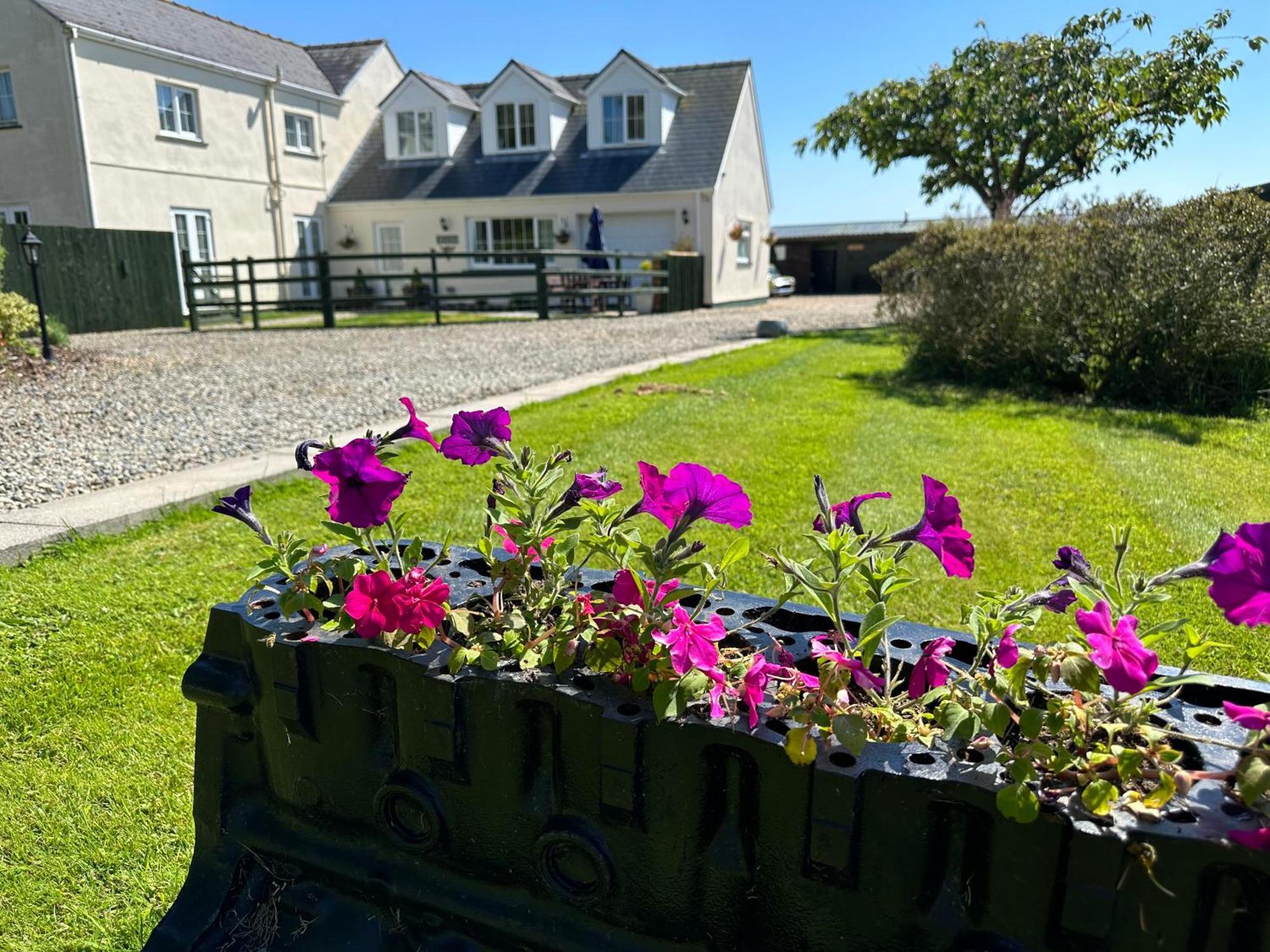 The Cow Shed Apartment Narberth Exterior photo